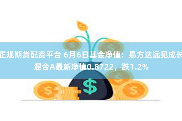 正规期货配资平台 6月6日基金净值：易方达远见成长混合A最新净值0.8722，跌1.2%