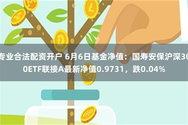 专业合法配资开户 6月6日基金净值：国寿安保沪深300ETF联接A最新净值0.9731，跌0.04%