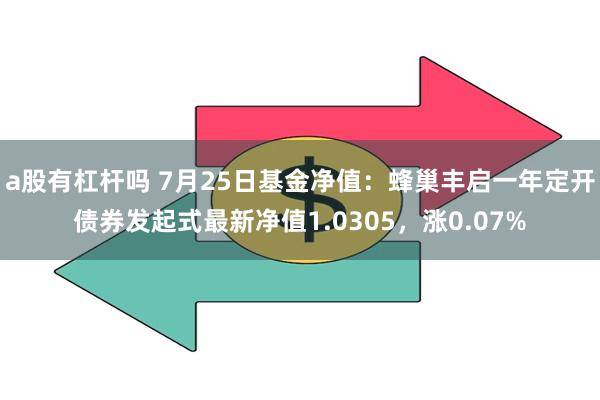 a股有杠杆吗 7月25日基金净值：蜂巢丰启一年定开债券发起式最新净值1.0305，涨0.07%