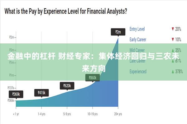 金融中的杠杆 财经专家：集体经济回归与三农未来方向