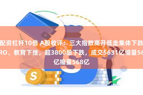 配资杠杆10倍 A股收评：三大指数高开低走集体下跌！CRO、教育下挫，超3800股下跌，成交5631亿缩量568亿