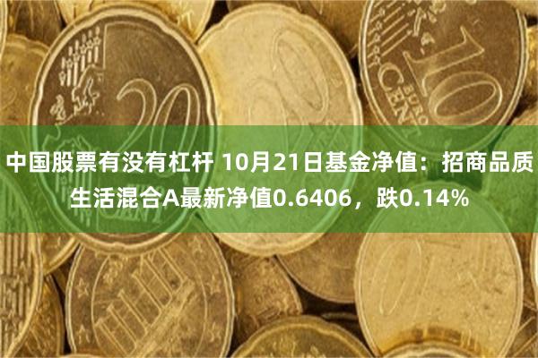 中国股票有没有杠杆 10月21日基金净值：招商品质生活混合A最新净值0.6406，跌0.14%