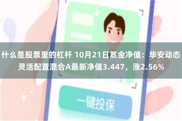 什么是股票里的杠杆 10月21日基金净值：华安动态灵活配置混合A最新净值3.447，涨2.56%