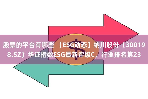 股票的平台有哪些 【ESG动态】纳川股份（300198.SZ）华证指数ESG最新评级C，行业排名第23