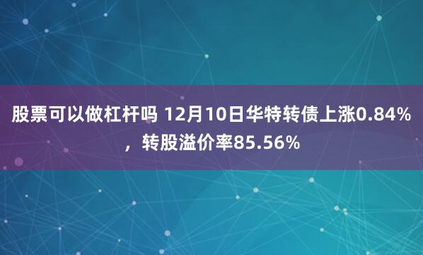 股票可以做杠杆吗 12月10日华特转债上涨0.84%，转股溢价率85.56%