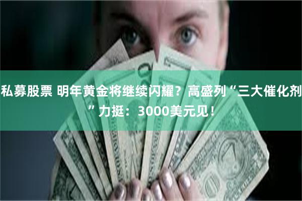 私募股票 明年黄金将继续闪耀？高盛列“三大催化剂”力挺：3000美元见！