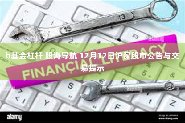 b基金杠杆 股海导航 12月12日沪深股市公告与交易提示