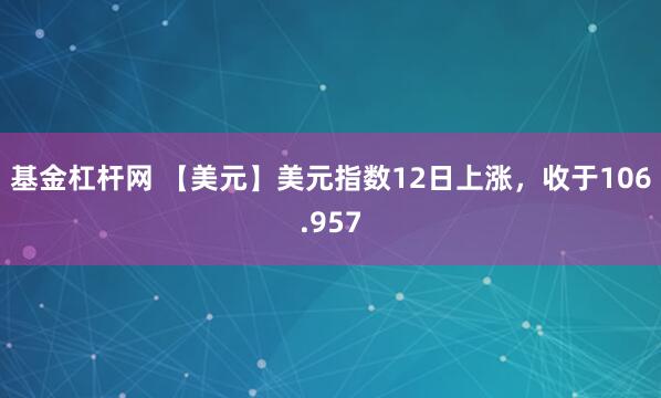 基金杠杆网 【美元】美元指数12日上涨，收于106.957