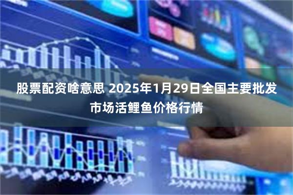 股票配资啥意思 2025年1月29日全国主要批发市场活鲤鱼价格行情