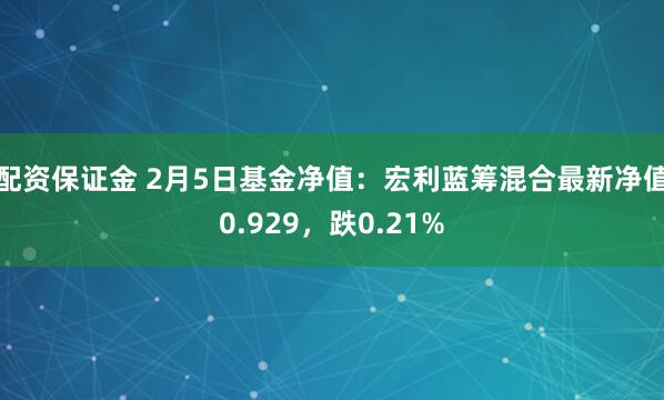 配资保证金 2月5日基金净值：宏利蓝筹混合最新净值0.929，跌0.21%