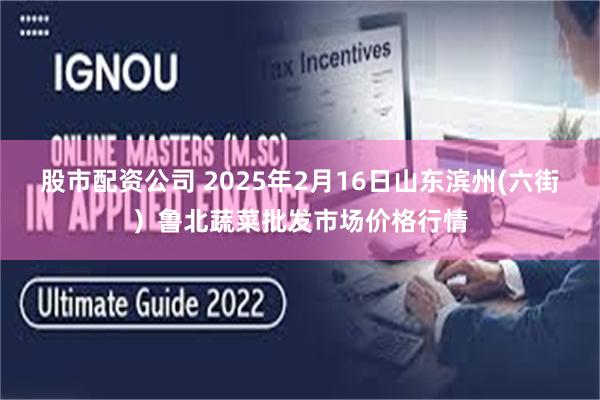 股市配资公司 2025年2月16日山东滨州(六街）鲁北蔬菜批发市场价格行情